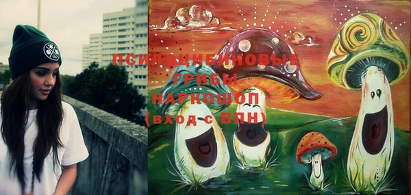 дурь Лихославль
