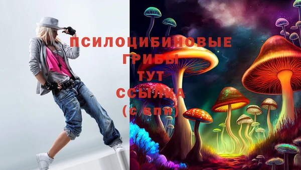 дурь Лихославль